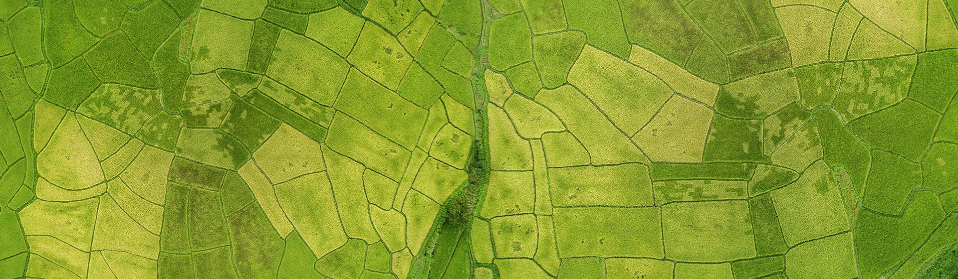 Sustainable Supply Chain Sustainable Value Chain