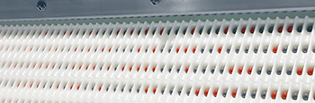 05_1M_CountSafe_SLAT_Image_20221102_160835_174_CARD_350x115