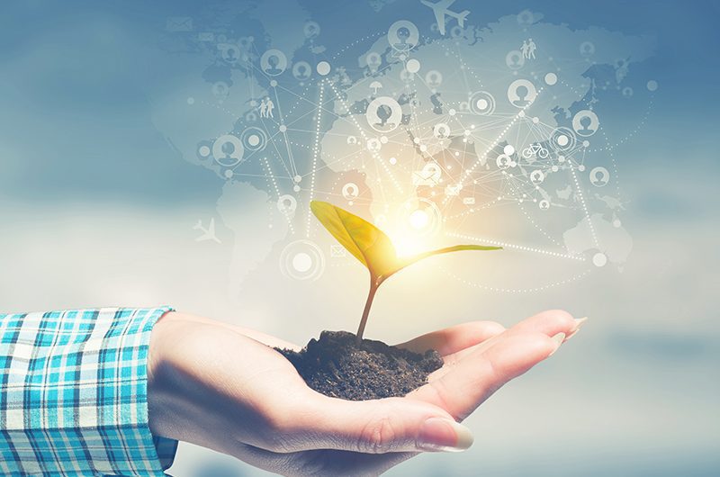 Responsible Value Chain