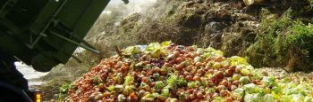 Food waste Food waste