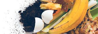 Blog_Food Waste Blog_Food Waste