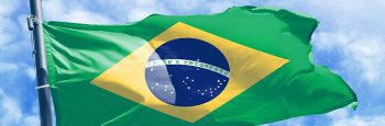 Brazil_Anvisa Compliance Brazil Falg
