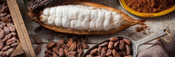 Cacao fruit Cacao fruit