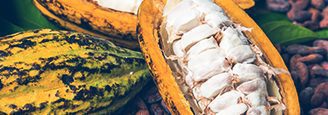Blog_World Cocoa Summit Blog_World Cocoa Summit