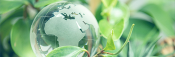 Blog - EU Corporate Sustainability Reporting Directive