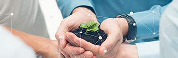 Closeup,Of,Businesspeople,Hand,Holding,Plant,Together