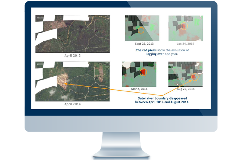 THE EU DEFORESTATION-FREE REGULATION (EUDR) THE EU DEFORESTATION-FREE REGULATION (EUDR)