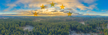 Forest_Europe_1870742803_CARD_350x115