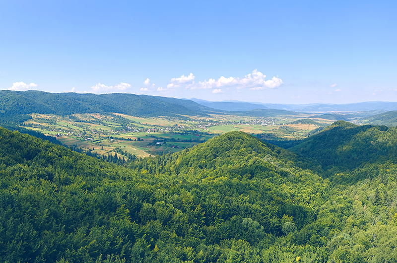Aerial,View,Of,Mountain,Hills,Covered,With,Dense,Green,Lush