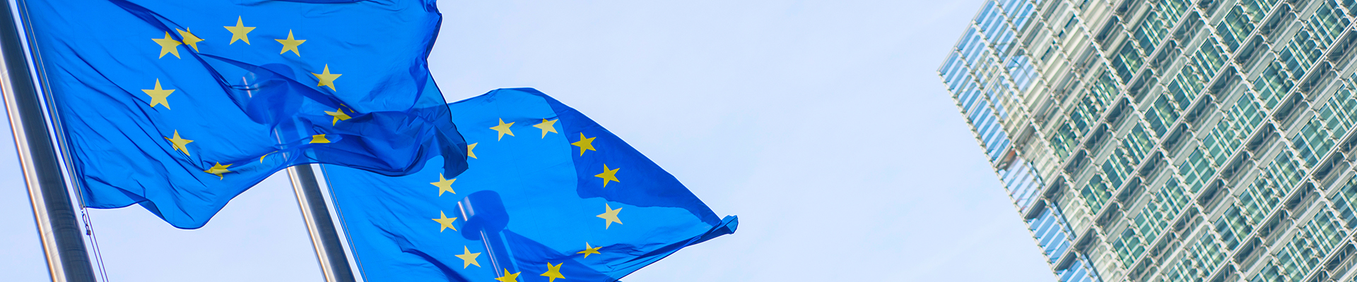 European business executives reviewing sustainability metrics despite EU’s ESG reporting delays
