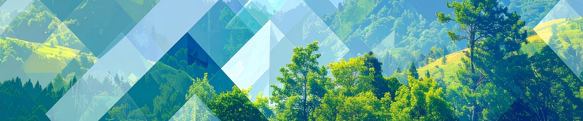 EUDR dans la grande distribution