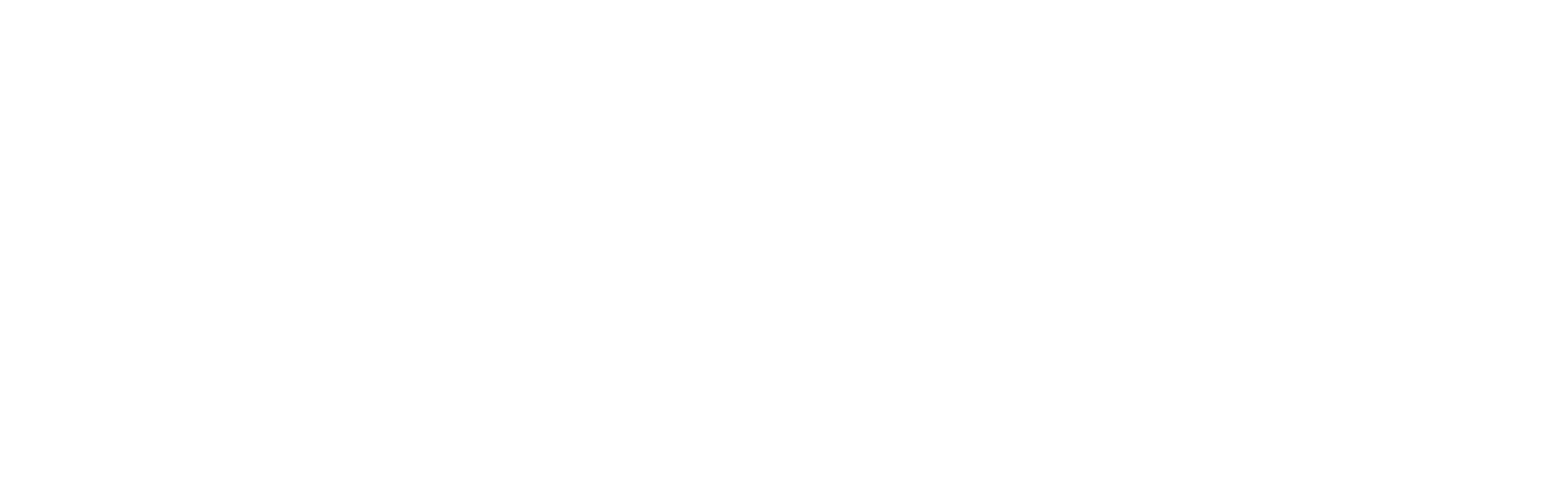 OPTEL logo – Traceability technologies for a better world