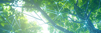 BLOG_The EUDR and Beyond_Why Digital Traceability Matters_Forbes_Firefly_AI_80091_CARD_350x115 BLOG_The EUDR and Beyond_Why Digital Traceability Matters_Forbes_Firefly_AI_80091_CARD_350x115