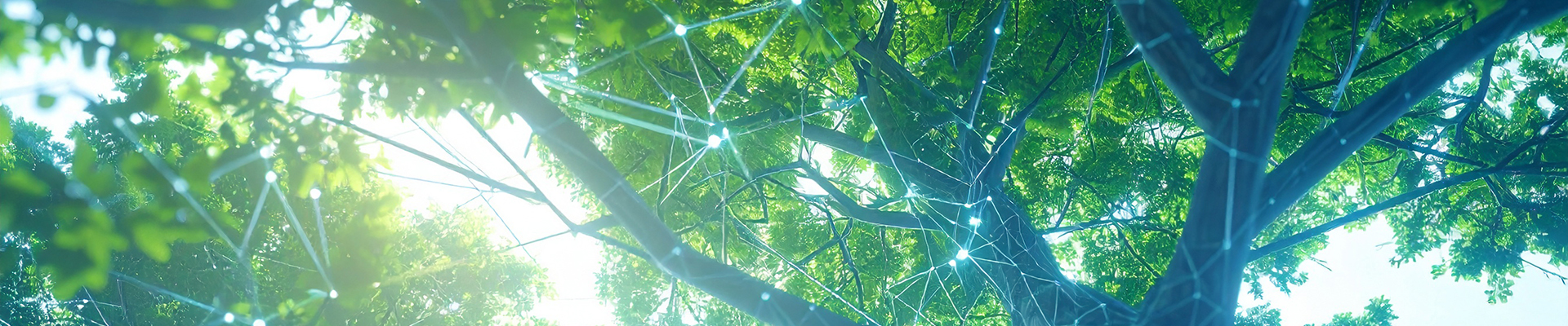 BLOG_The EUDR and Beyond_Why Digital Traceability Matters_Forbes_Firefly_AI_80091_HEADER_1920x400