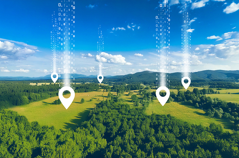 BLOG_The EUDR and Beyond_Why Digital Traceability Matters_Forbes_IMG1_Firefly_AI_3_800x530