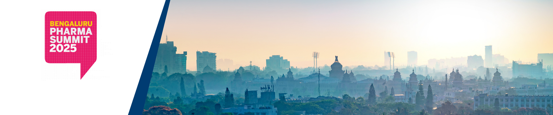 Bengaluru Pharma Summit