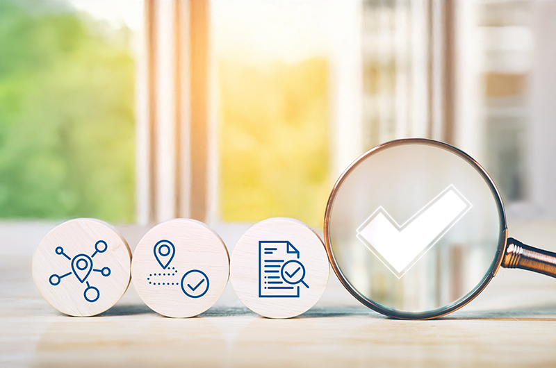 concept of auditing and evaluating quality and efficiency of per