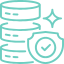 Master data icon